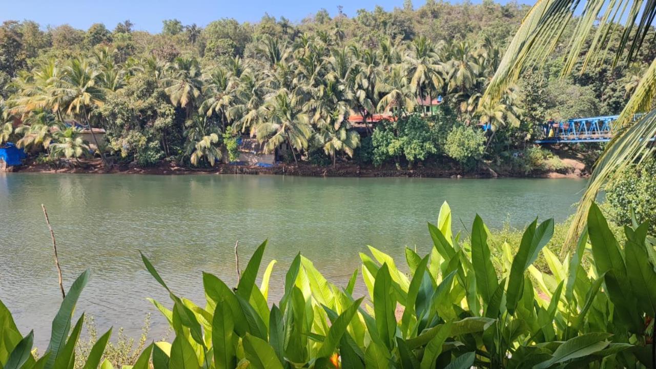 Pont Bleu Suites Riverside & Pool Canacona Εξωτερικό φωτογραφία